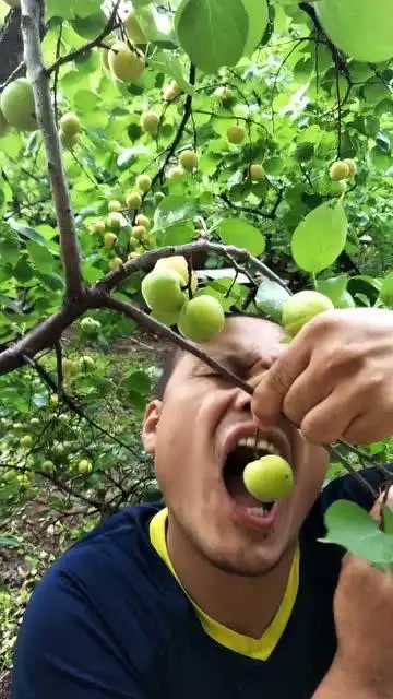 全世界吃李子最火的表情包大叔太会吃了