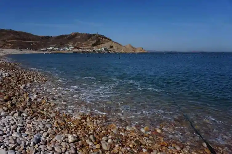 7月30-8月2日山东大钦岛原生态海岛4日游