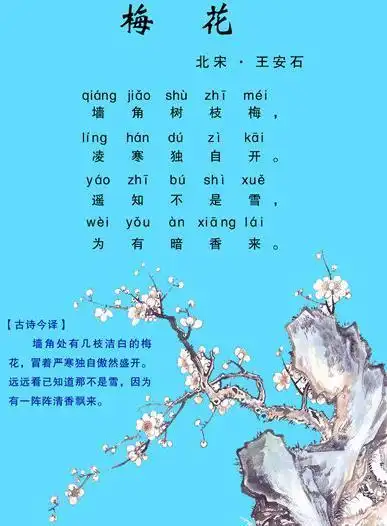 《梅花》王安石宋代古诗原文阅读翻译赏析