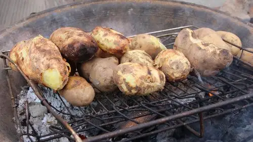 吃昭通烧洋芋不胖,来呗!
