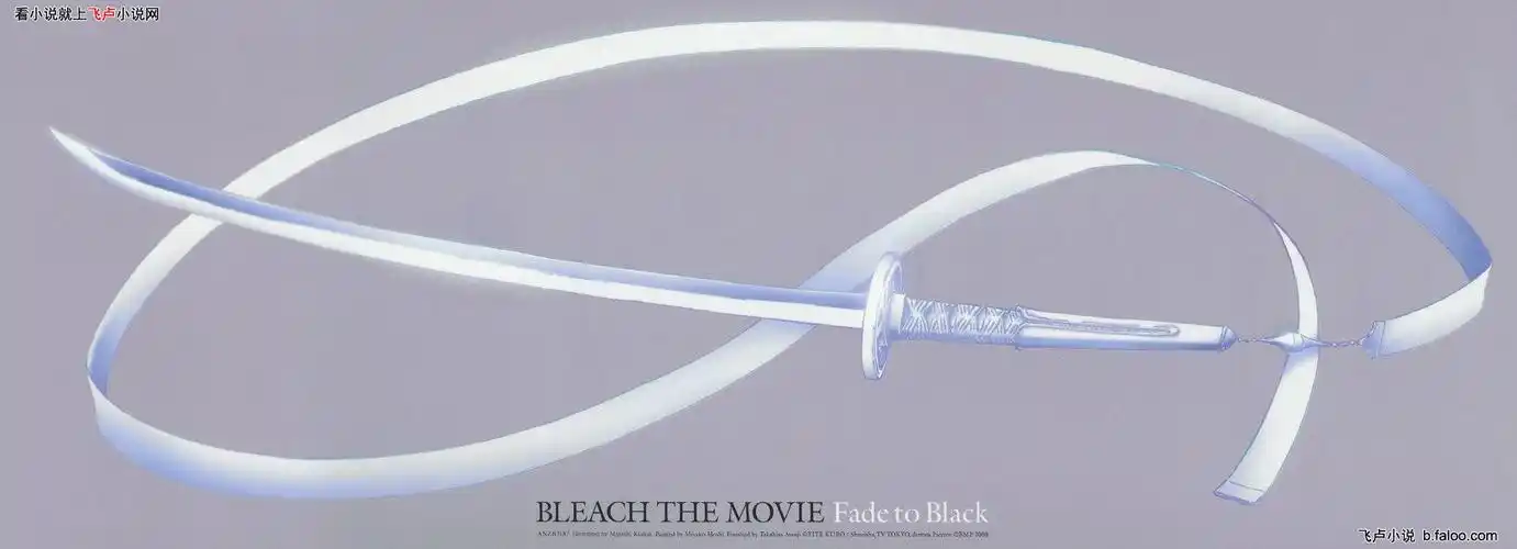 第五十五章 斩魄刀名为:袖白雪!