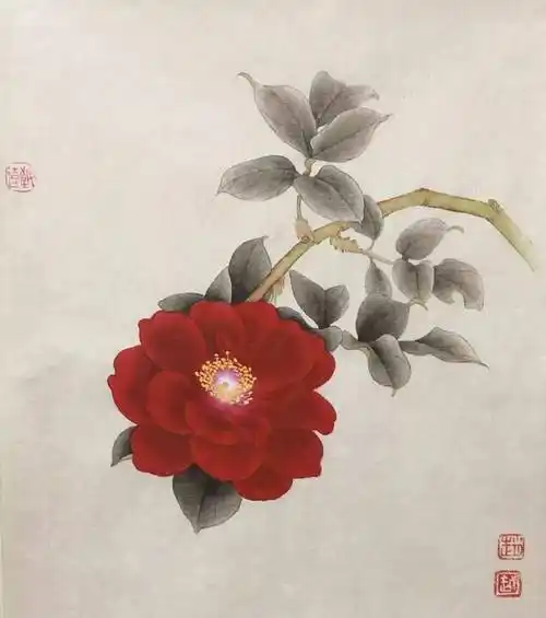 国画教程一朵玫瑰花的工笔写生步骤