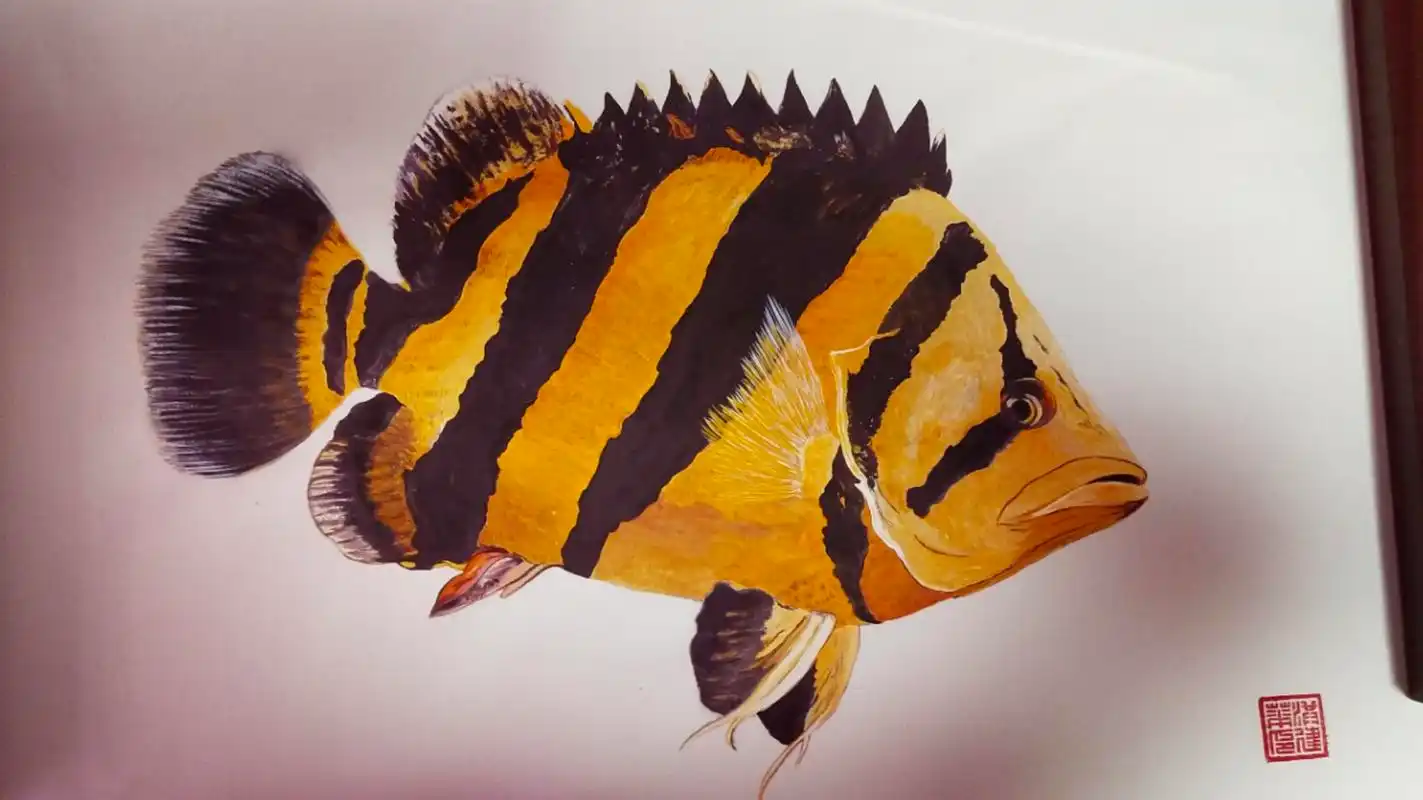 道家哲学#  招财鱼红龙鱼金龙鱼龙鱼画九龙画九龙图龙鱼工笔画国画龙