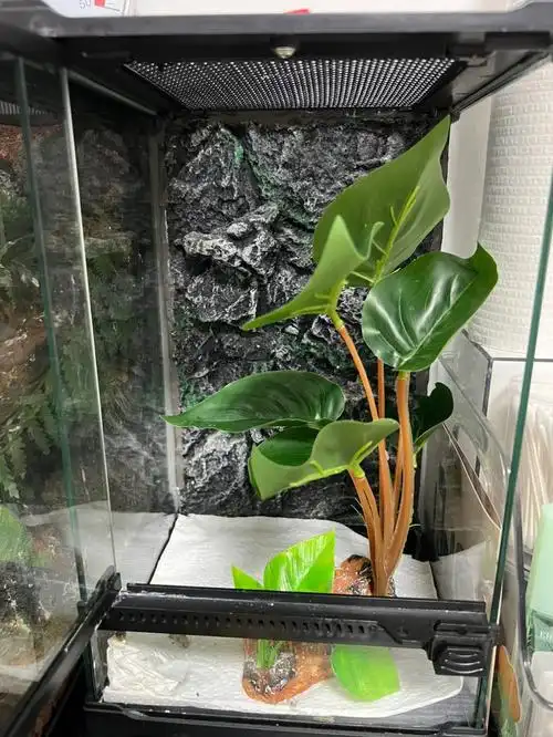 闲置爬宠玻璃缸