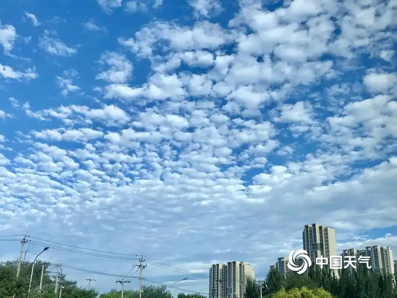 头看北京天空颜值超高蓝天悠悠白云朵朵