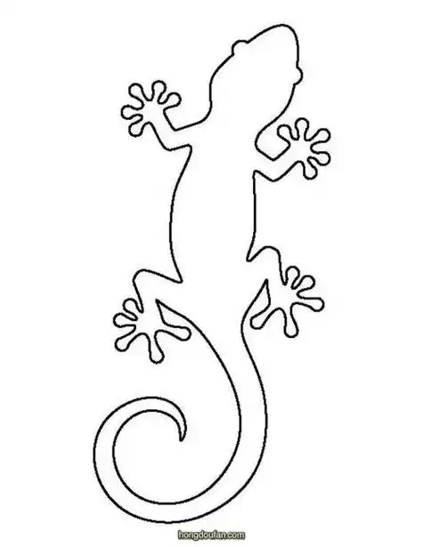 动物尾巴作用简笔画