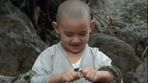 静象菩提电影春夏秋冬又一春不历人生四季如何心归佛系