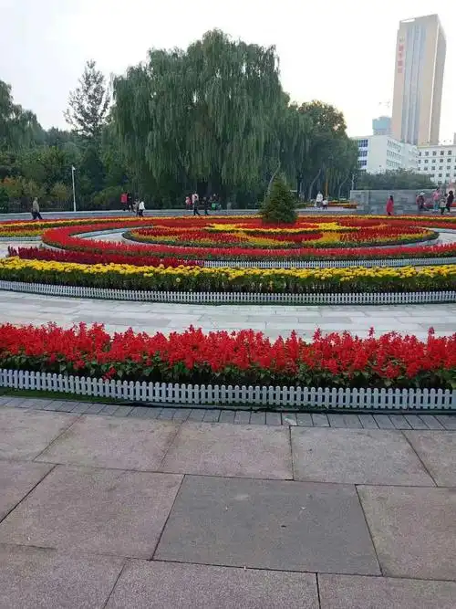 金隆门上也用鲜花摆上国庆俩大字.