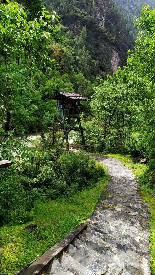 川藏行day21: 通麦~鲁朗