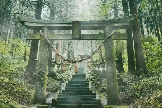 萤火之森(熊本高森町-上色见熊野座神社)中篇