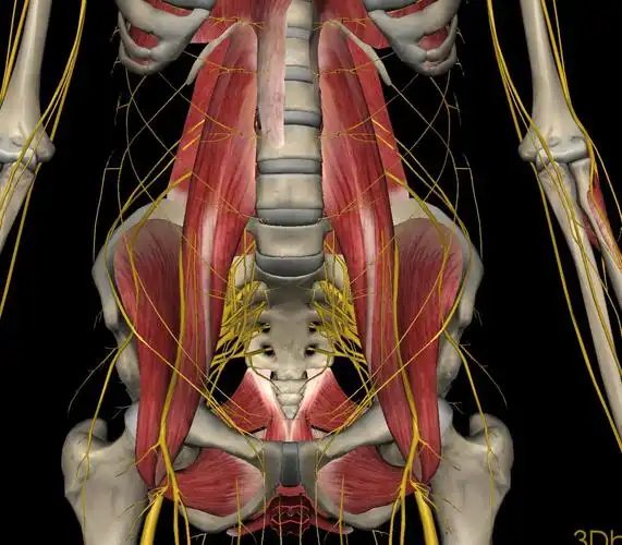 《腰椎盘突出,肥大,劳损,疼痛》刘氏经筋 写美篇腰部疼痛(腰椎盘突出