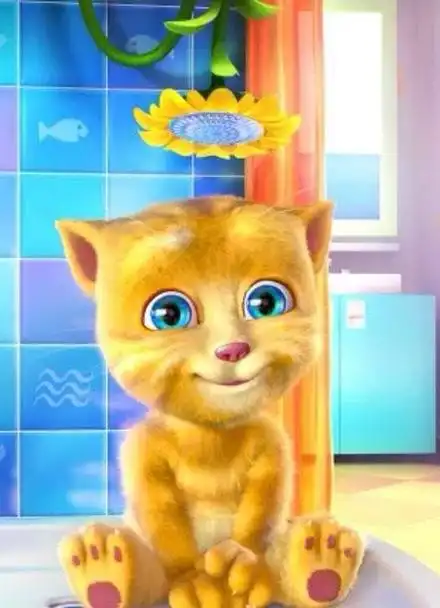 金杰猫教你如何减肥