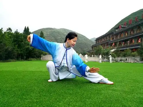 杨氏太极最美拳照获奖者风采(上)