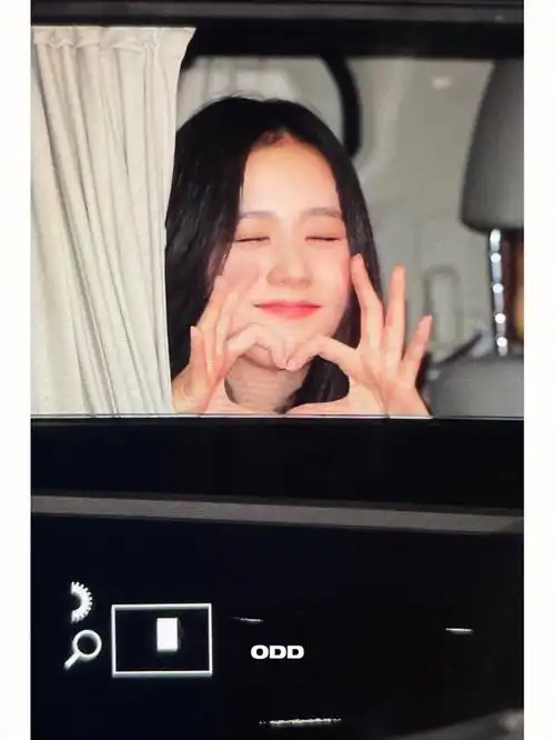 要不要这么美啊#金智秀jisoo #jisoo  #jisoo