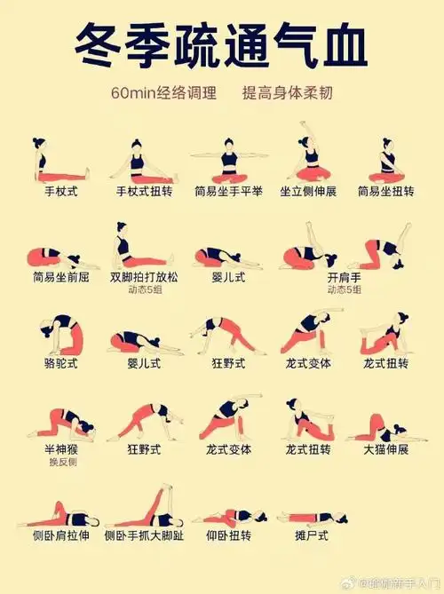 16套瑜伽动作,让你轻松get网红体|||97瑜伽小白也能秒变大师00