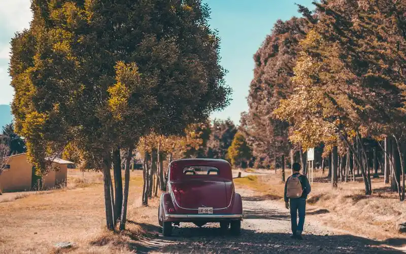 壁纸 红色的复古车后视图,男人,树木,秋天 3840x2160 uhd 4k 高清壁纸