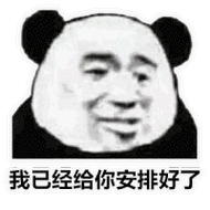 我已经给你安排好了 - 斗图表情包 - 金馆长表情库 - 真正的斗图网站