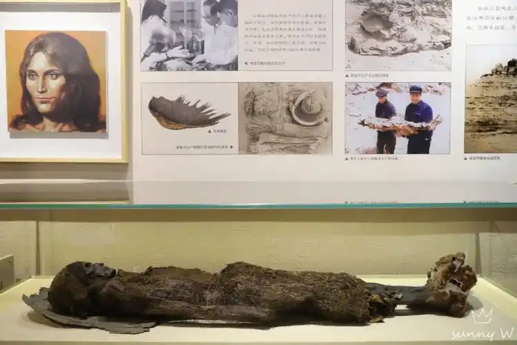 逝者越千年96古尸大致可分为干尸,湿尸,冻尸,腊尸和鞣尸几种类型.