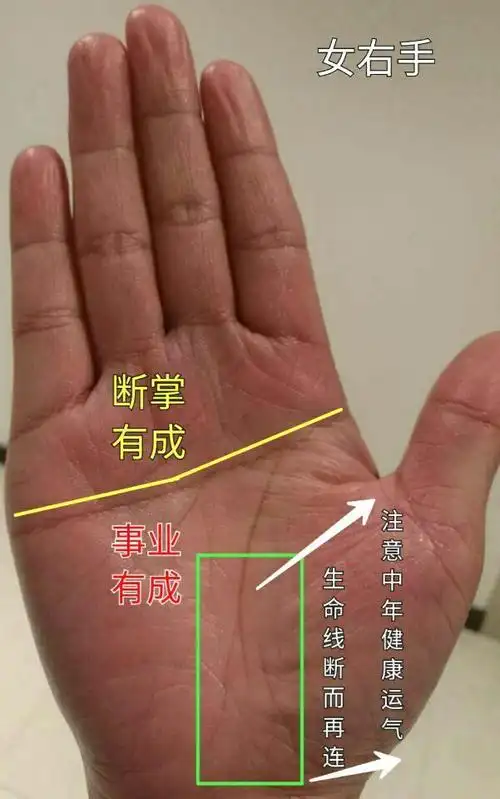 手相:这种手相的女人,天生富贵命,嫁给穷鬼也能发家!