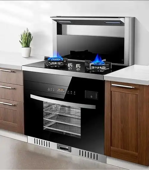 hyundai集成灶一体灶烟灶消油烟机燃气灶消毒柜一体机大吸力侧吸式