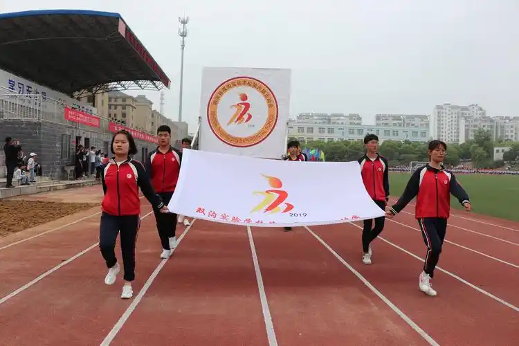 本届运动会会旗,会徽图案是以汉字"六"艺术变形,火红的汉字恰似激情