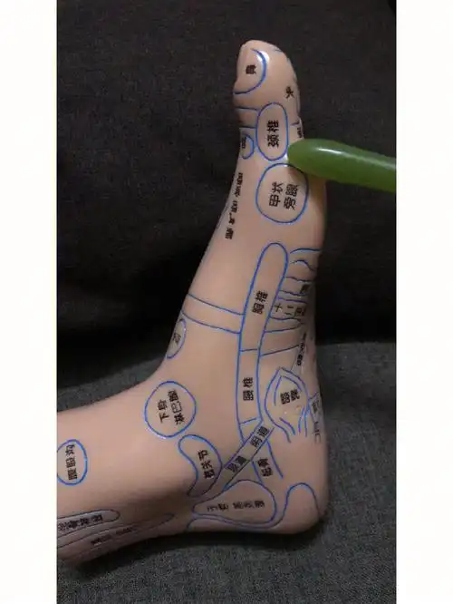 足底好处祛百病了解反射区位置好处