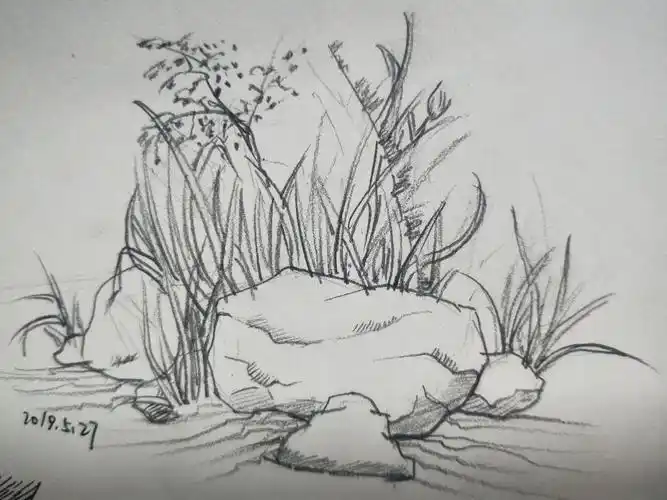 素描草丛简笔画