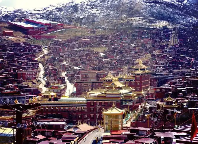 🏯探秘色达东嘎寺的金色魅力🌨️