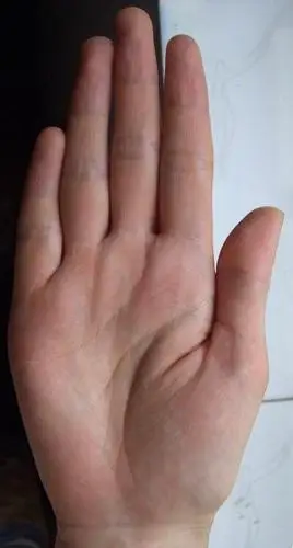 高级手相预测欣赏(二)图,断语 - olotus800 - 莲花国际的博客