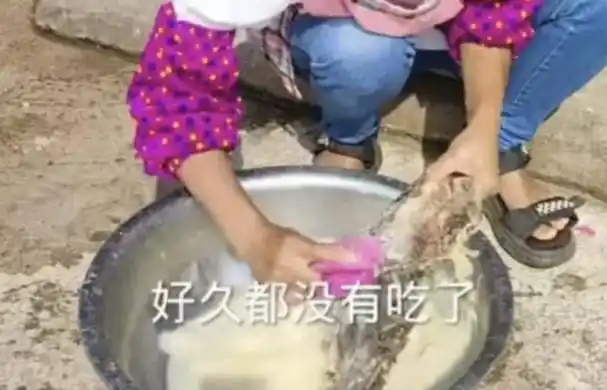 95后农村妇女百万网红的苦难生活