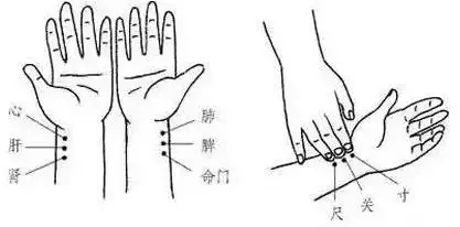 中医把脉看诊暗藏玄妙为您揭秘身体健康疑云