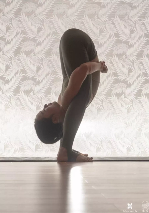 区区几招,轻松解密"瑜伽萤火虫式"