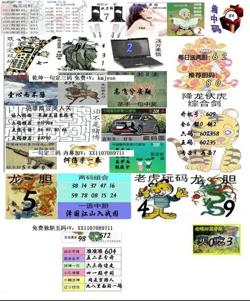 大花猫1-彩吧图库