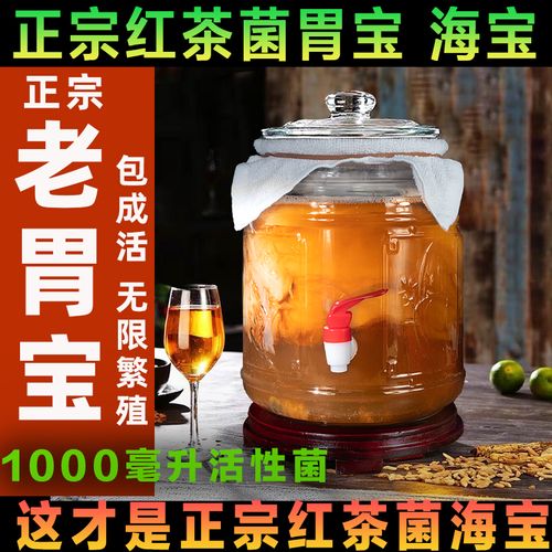 正宗红茶菌胃宝高品质梅兰竹菊瓶全套海宝醋蛾子支氏酵品康普茶