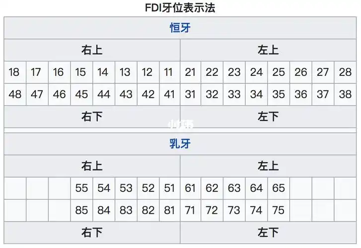 因为对于牙医来说,21在牙位记录法(图片2:恒牙fdi牙位记录)中,代表着