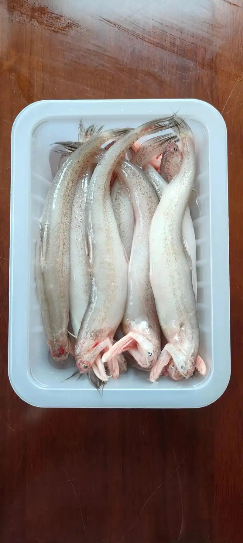 盒装精品豆腐鱼#全国各地发货#全国各地发货 - 抖音