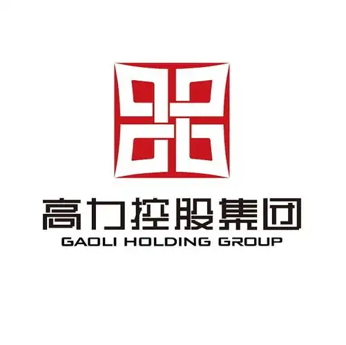 高力控股集团有限公司