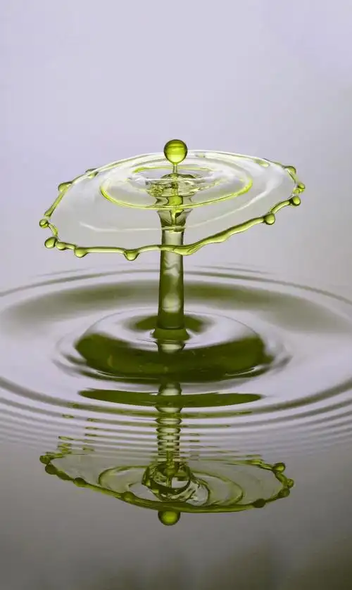 晶莹水滴唯美画面演绎大自然的美妙世界