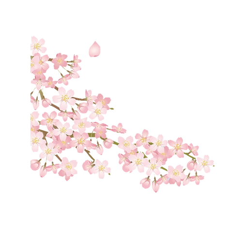 手绘春天樱花免抠素材