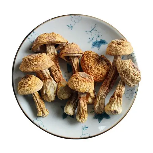 干货松茸云南姬松巴西蘑菇精选菌菇250g包邮姬松茸