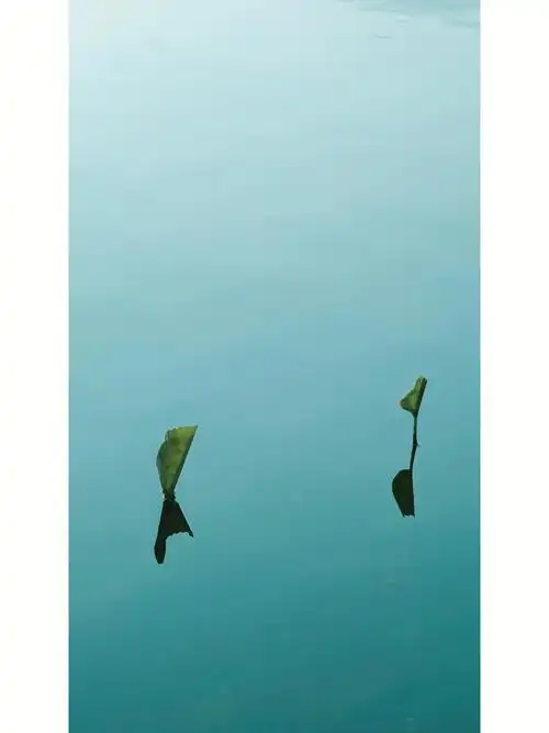 拍照丨有关于水的影子