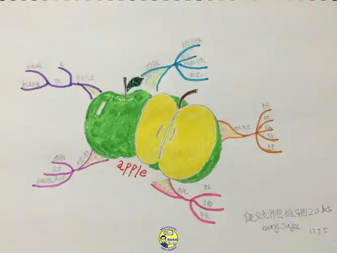 第【5】次作业-20170906-黄佳玉-导图作业-思维导图作品集-思维脑图