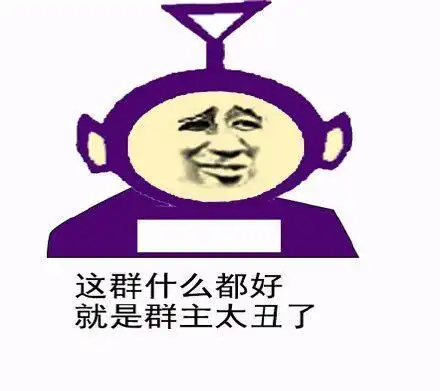 这群什么都好就是群主太丑了
