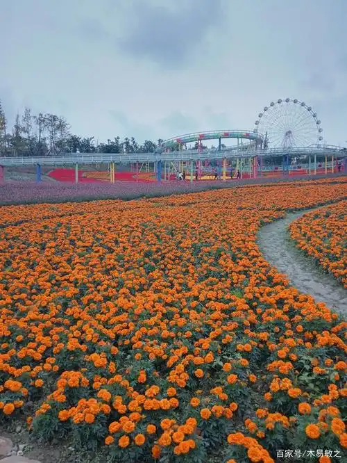 成都音乐百花谷一日游