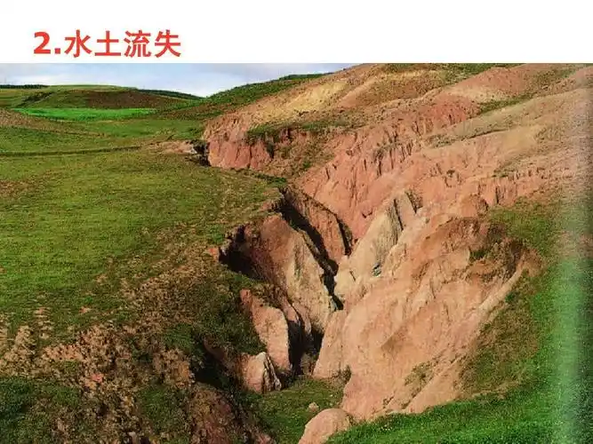 4.1区域农业发展_第二课时ppt_word文档在线阅读与下载_无忧文档