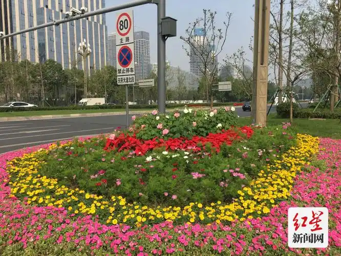 干道分车带绿化示例