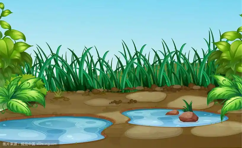 自然界中的小水坑