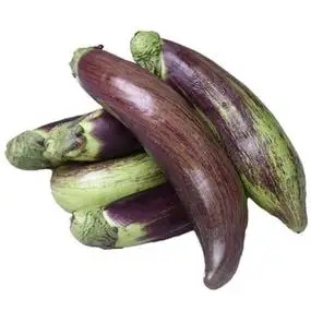 东北吉林农产品新鲜蔬菜花茄子食用面包茄冰川茄产地直销散装包邮