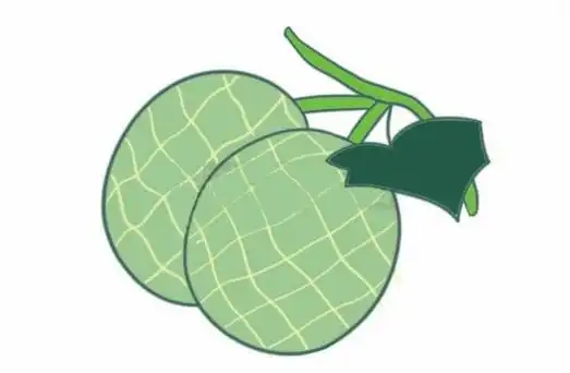 哈密瓜简笔画图片