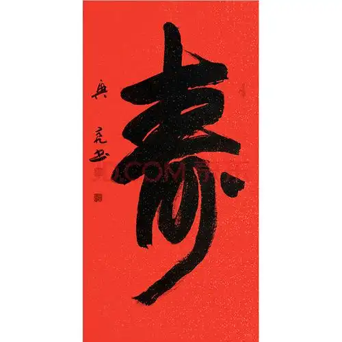 李兴亮 中书协会员《寿》